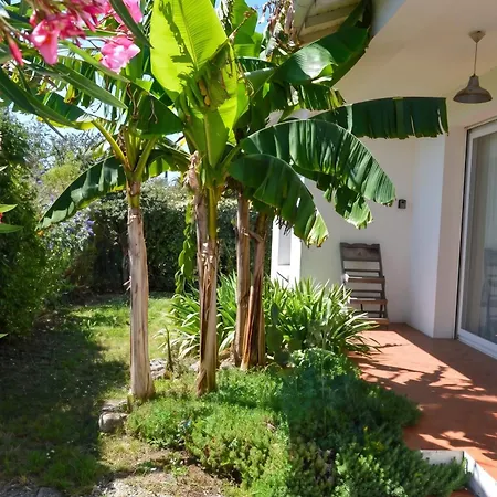 Maison 110 M² - Jardin&terrasse Marennes (Charente-Maritime)